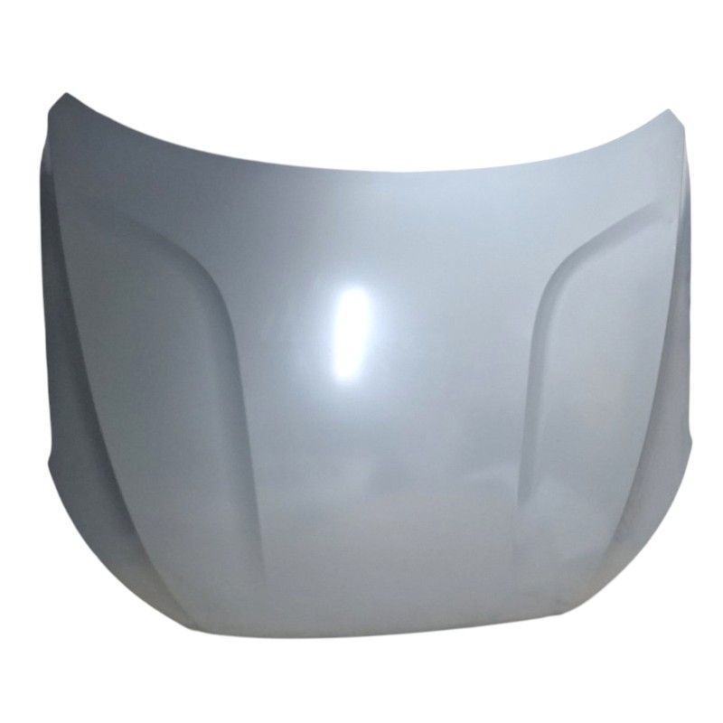 Capotă, Zotye T700 ZOTYE 8402100001-B11B
