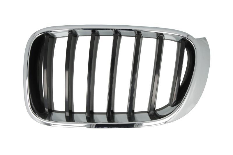 Grilă radiator față stânga (BASIS, crom/negru) BLIC 6502-07-00939933P